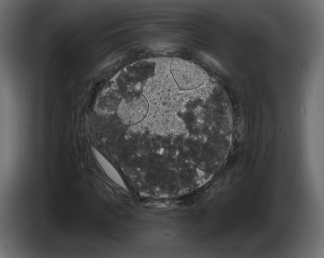X0000084580917200703231840