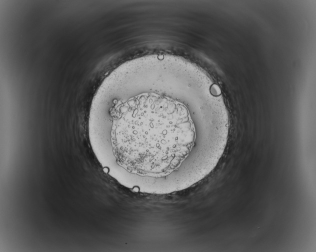 X0000084580918200703231840