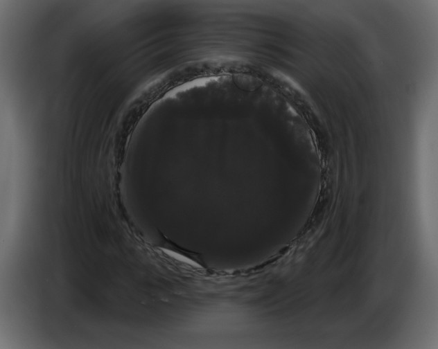 X0000084580919200703231840