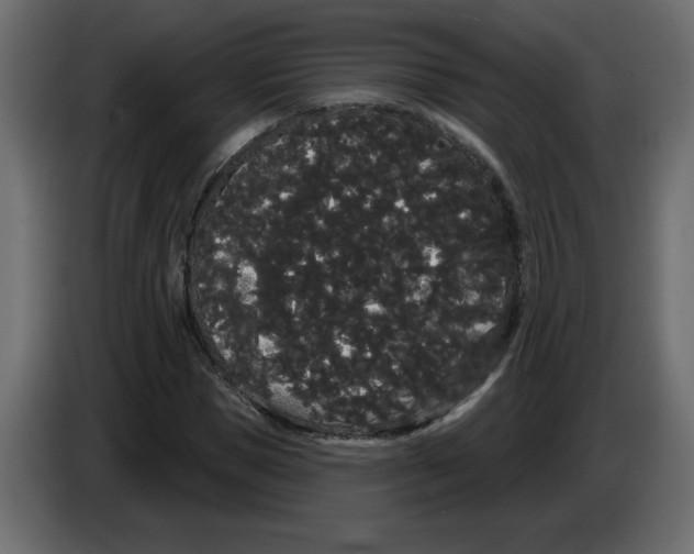 X0000084580921200703231840