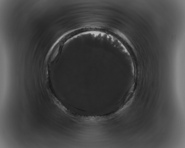 X0000084580923200703231840