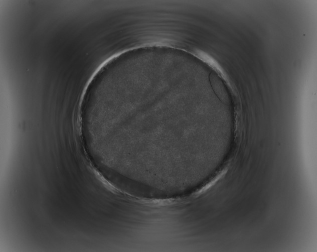 X0000084580924200703231840