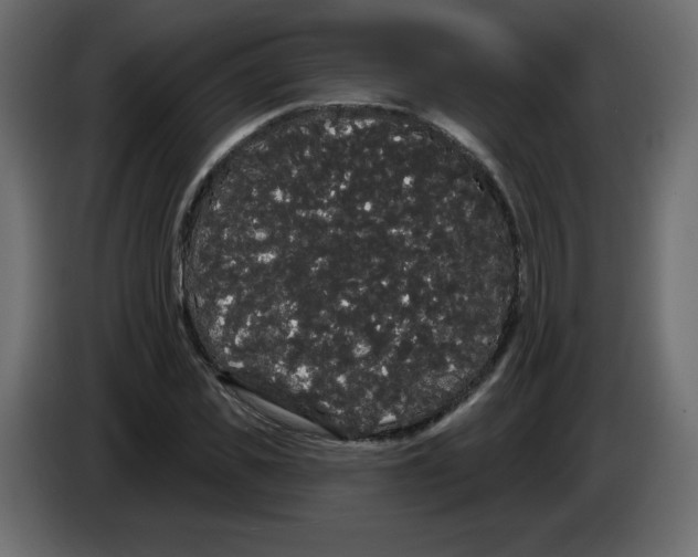 X0000084580925200703231840