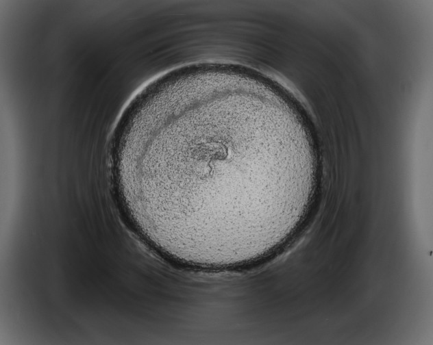 X0000084580926200703231840