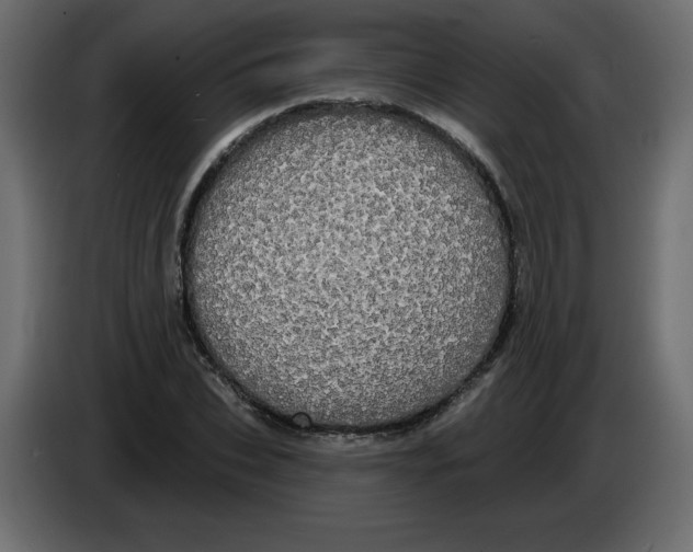 X0000084580927200703231840