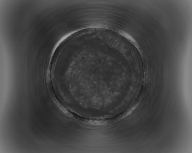 X0000084580928200703231840