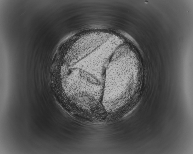 X0000084580930200703231840
