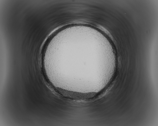 X0000084580931200703231840