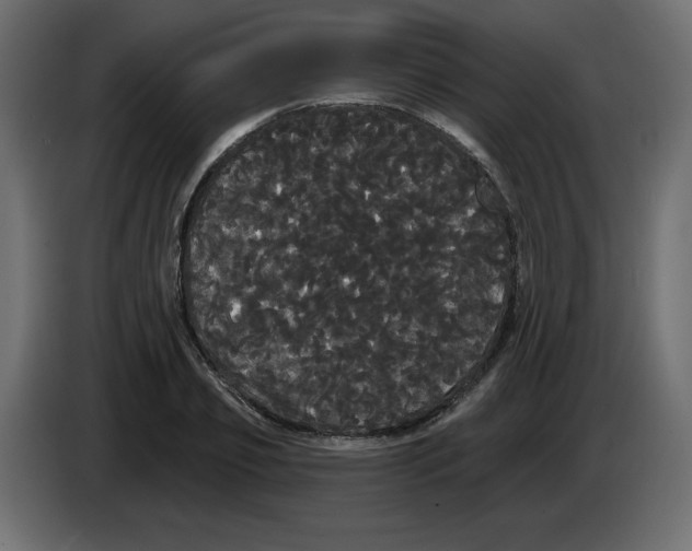 X0000084580933200703231840