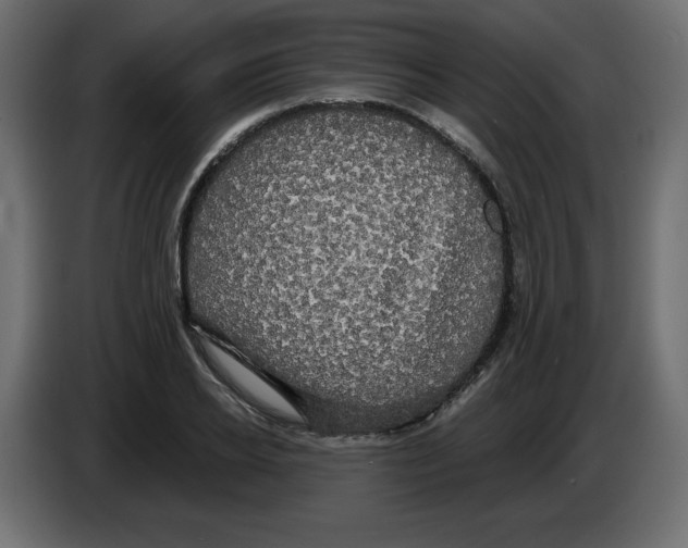 X0000084580934200703231840