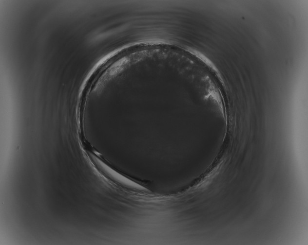 X0000084580935200703231840
