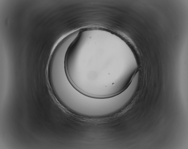 X0000084580936200703231840