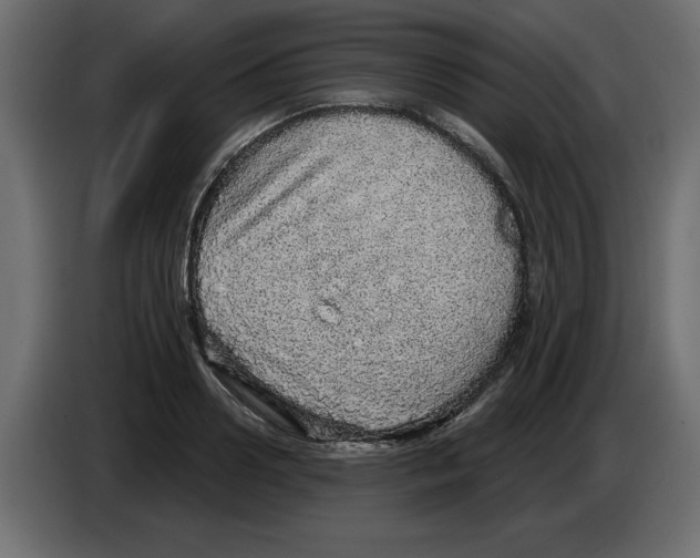 X0000084580938200703231840
