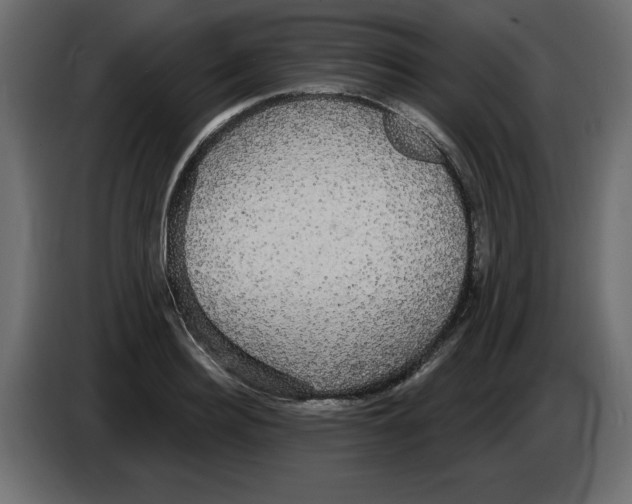 X0000084580940200703231840