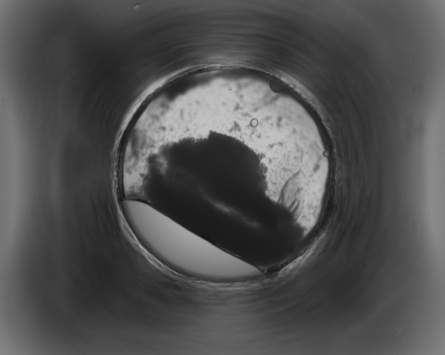 X0000084580941200703231840