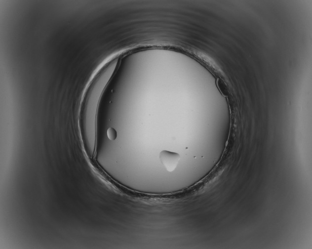 X0000084580942200703231840
