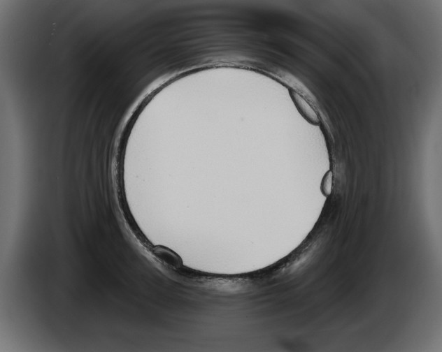 X0000084580947200703231840