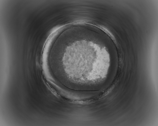 X0000084580948200703231840