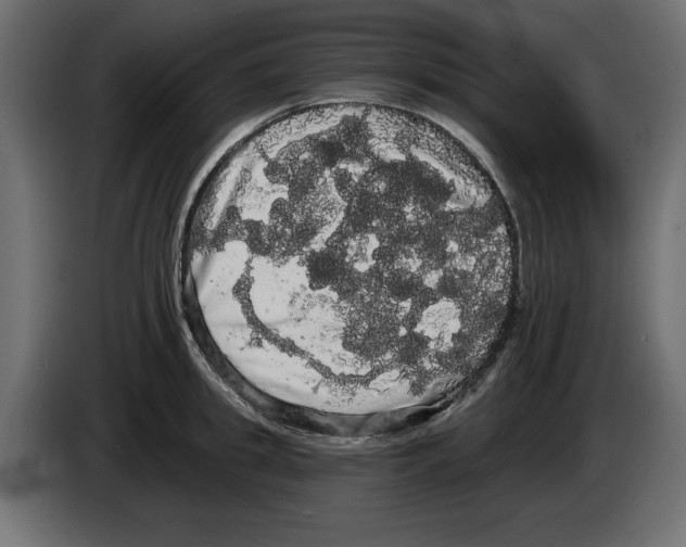 X0000084580949200703231840