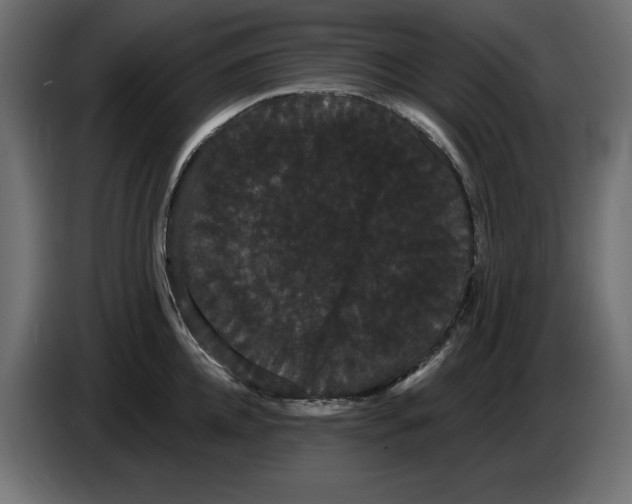 X0000084580952200703231840