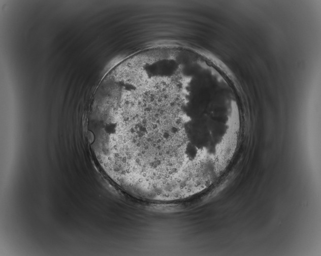 X0000084580953200703231840