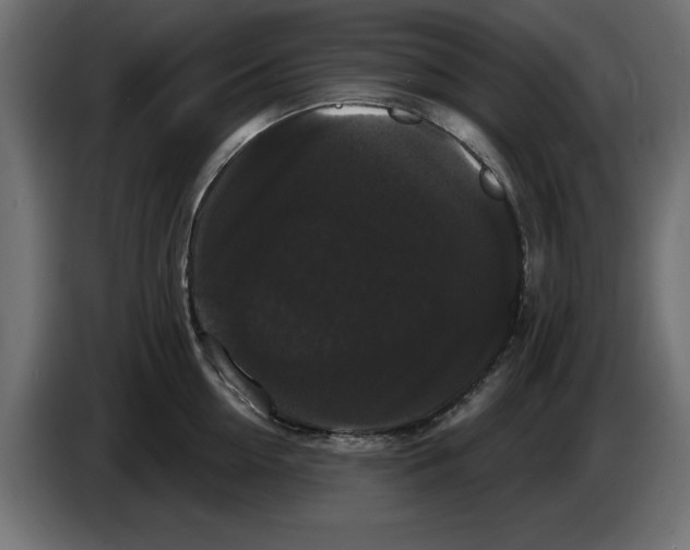 X0000084580954200703231840