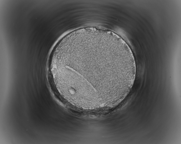 X0000084580955200703231840