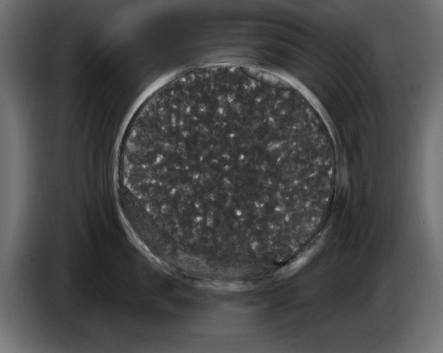 X0000084580957200703231840