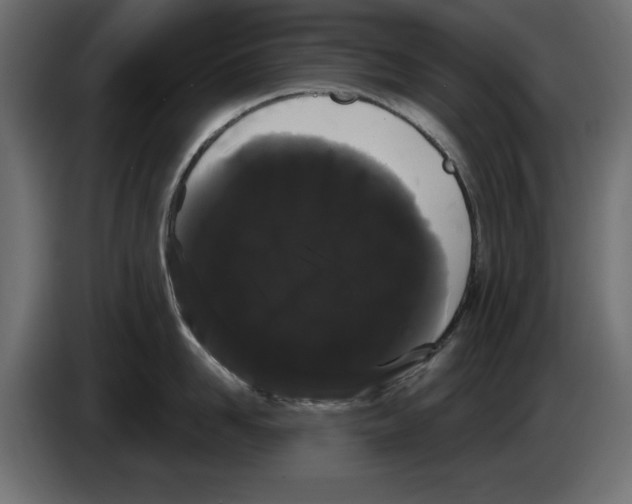 X0000084580958200703231840