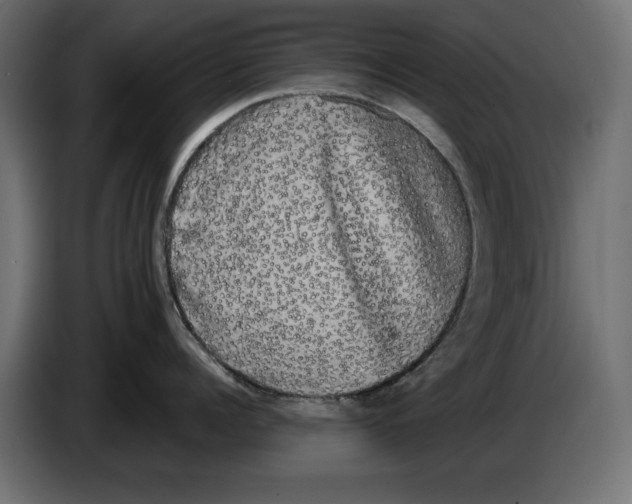 X0000084580960200703231840
