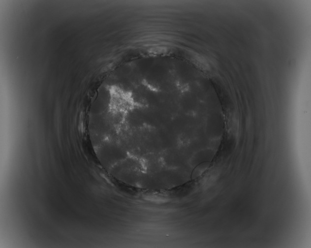 X0000084580962200703231840