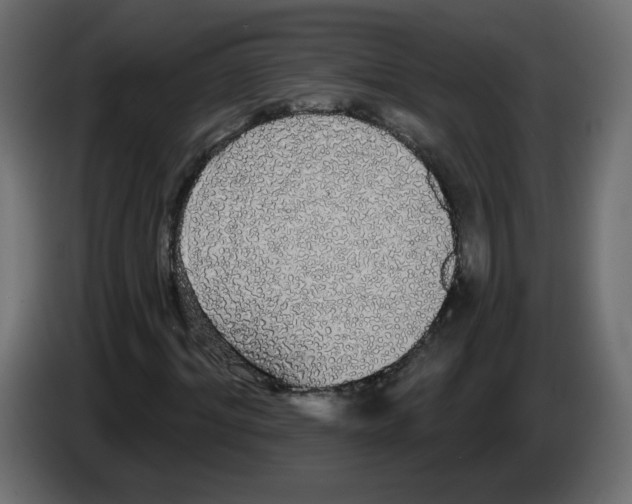 X0000084580964200703231840