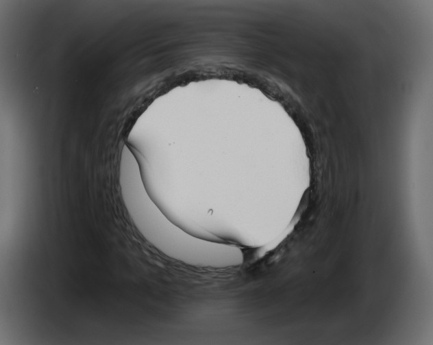 X0000084580965200703231839
