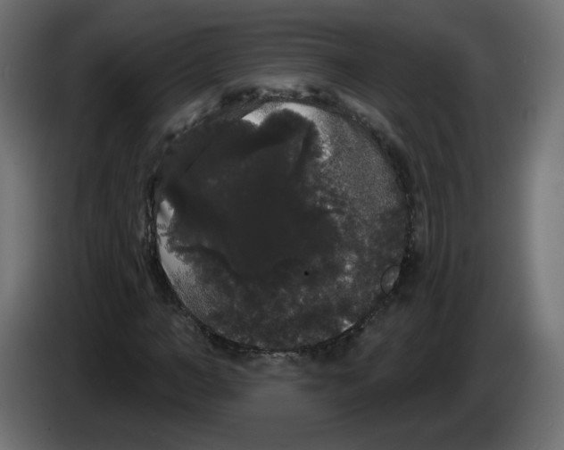 X0000084580966200703231839