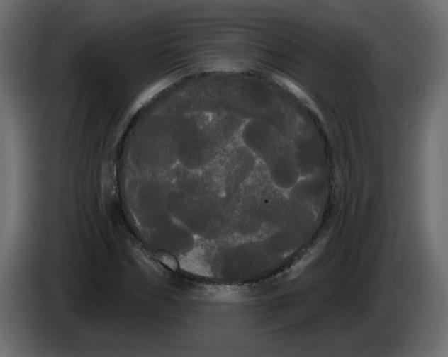 X0000084580970200703231839