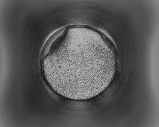 X0000084580972200703231839