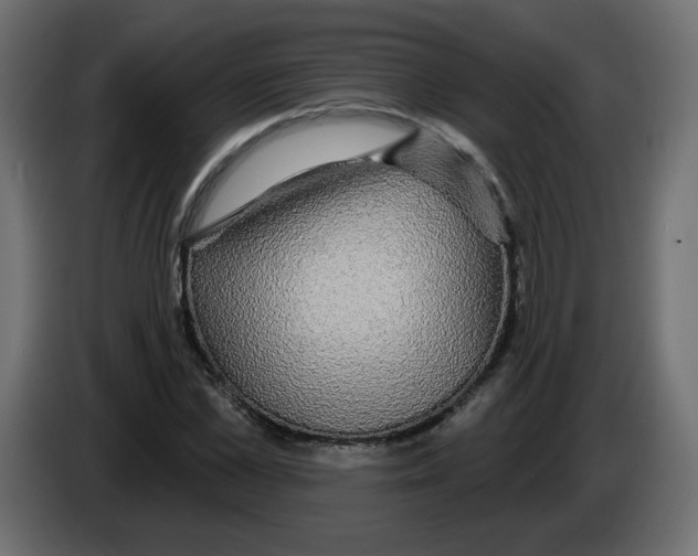 X0000084580973200703231839