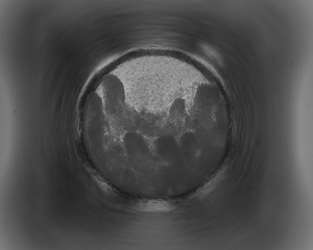X0000084580974200703231839