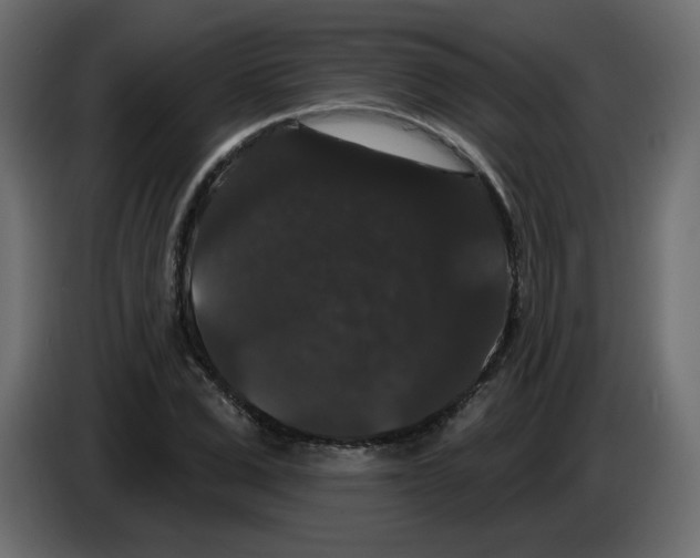 X0000084580975200703231839