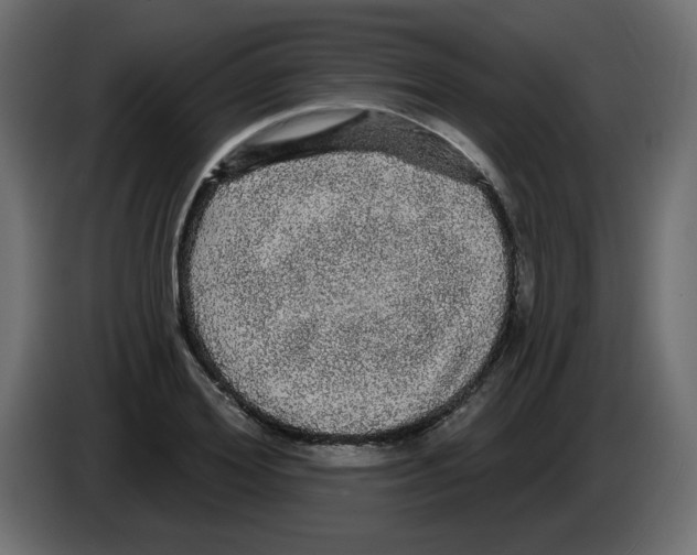X0000084580980200703231839