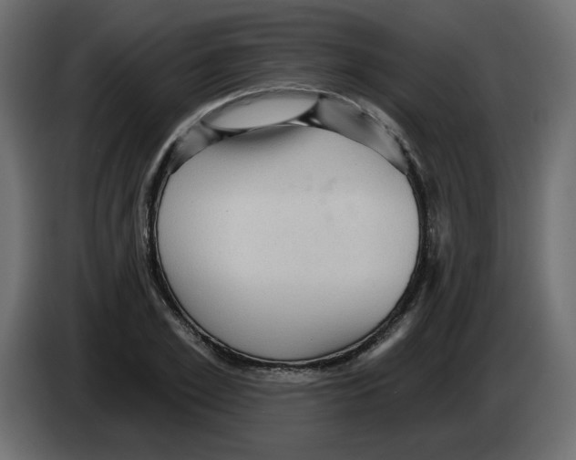 X0000084580981200703231839