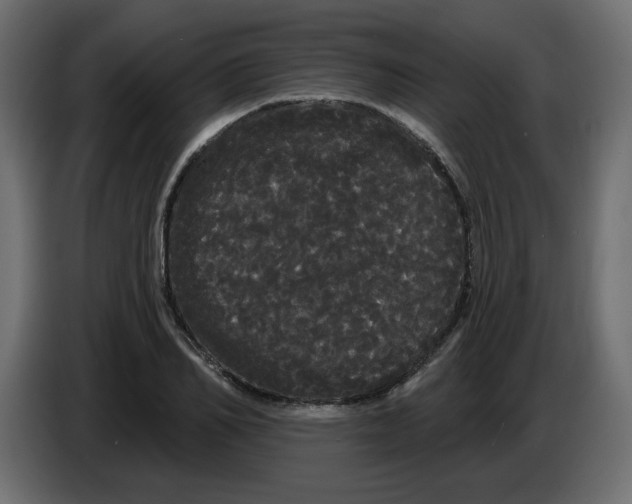 X0000084580982200703231839