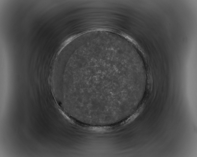 X0000084580985200703231839