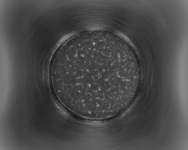X0000084580986200703231839