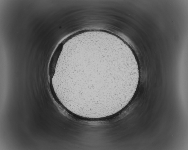 X0000084580988200703231839