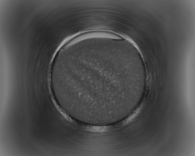 X0000084580989200703231839