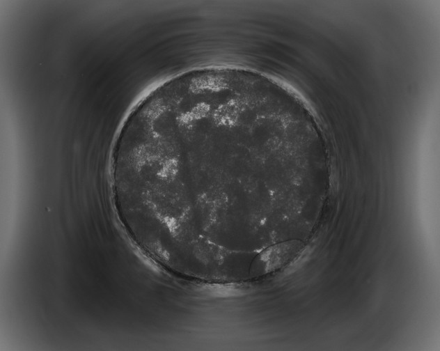 X0000084580990200703231839