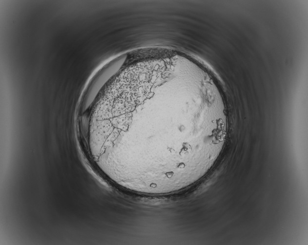 X0000084580991200703231839