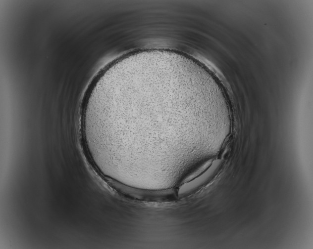 X0000084580992200703231839