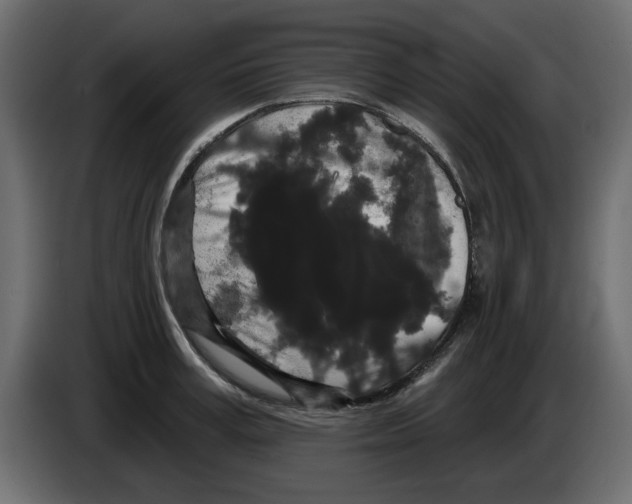 X0000084580995200703231839